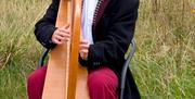 Image of harpist